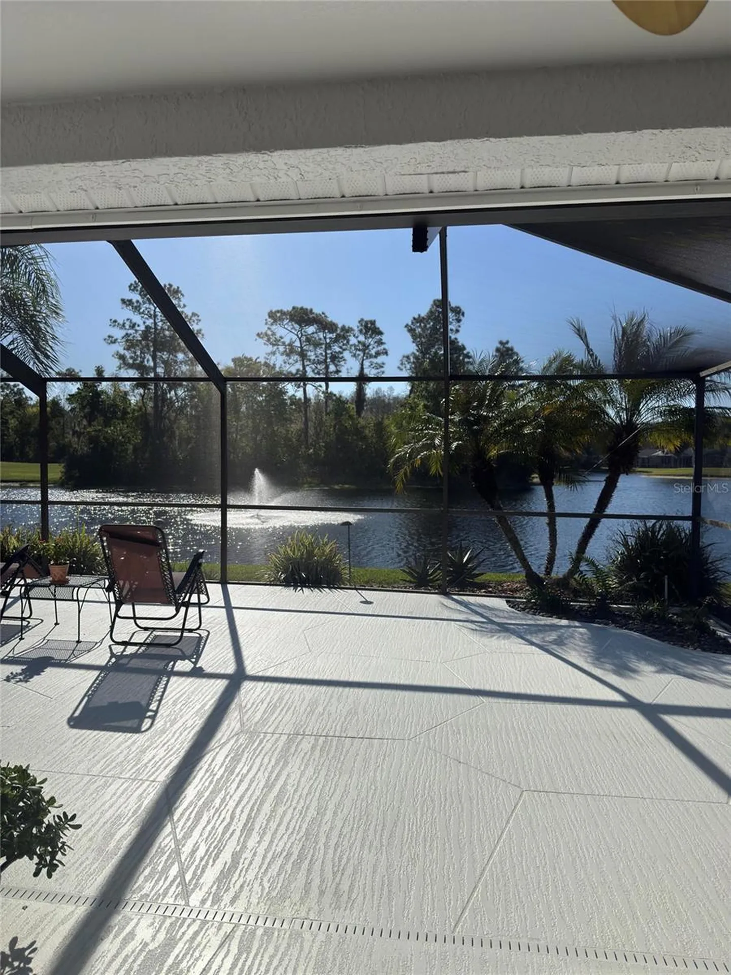8144 Sanguinelli Road Land O Lakes FL 34637