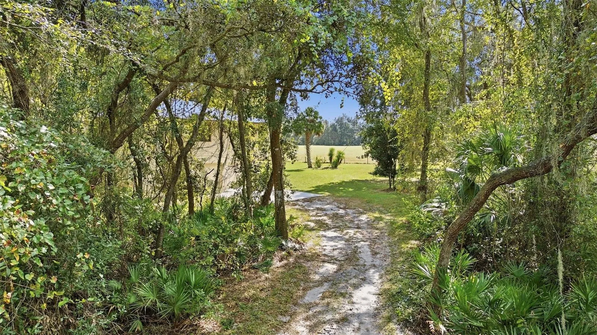 5505 Cr 634s Bushnell FL 33513