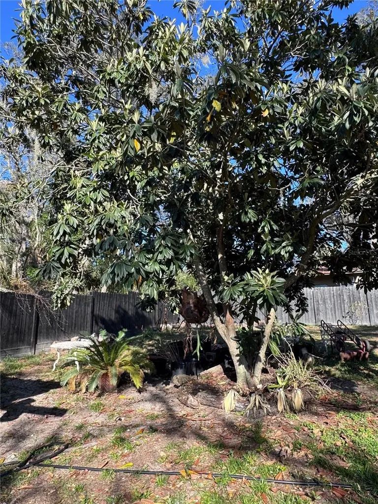 10731 Libby Number 3 Road Clermont FL 34715