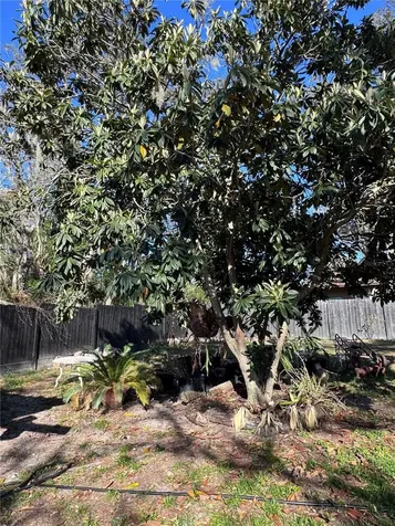 10731 Libby Number 3 Road Clermont FL 34715