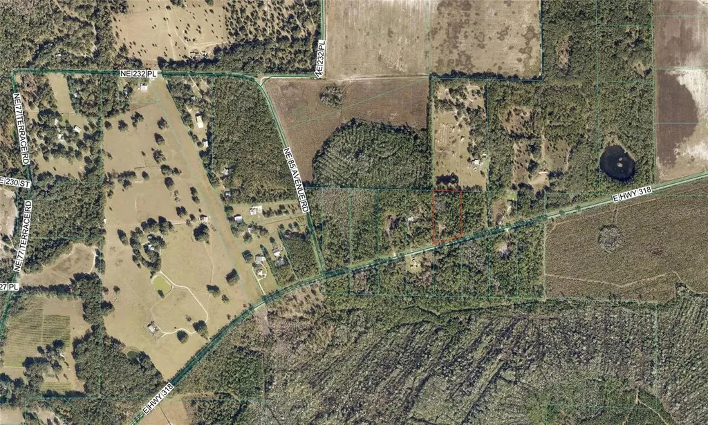 8798 E Highway 318 Citra FL 32113