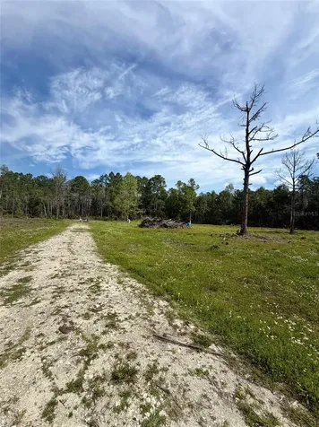 8798 E Highway 318 Citra FL 32113