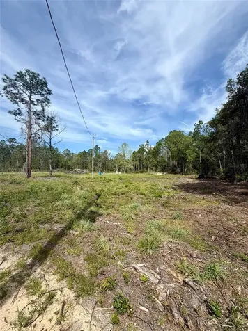 8798 E Highway 318 Citra FL 32113