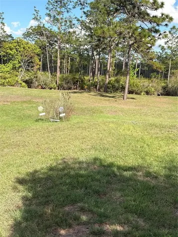 5005 Pierre Avenue St Cloud FL 34773