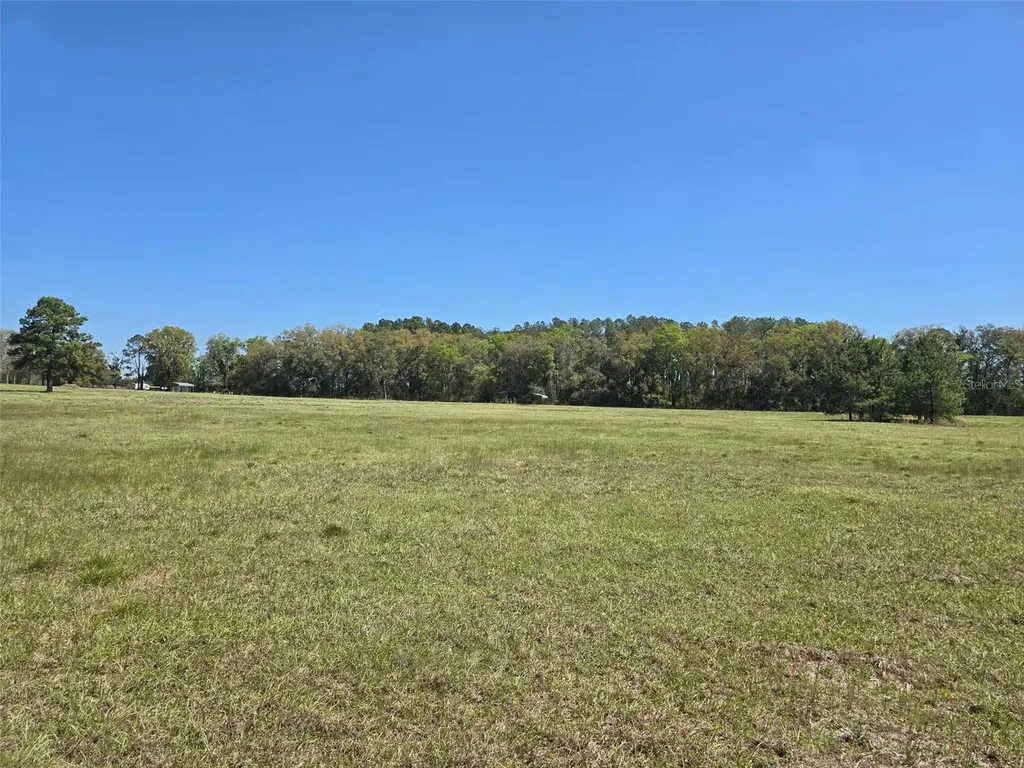 Tbd (LOT 2) 55th Place Mc Alpin FL 32062
