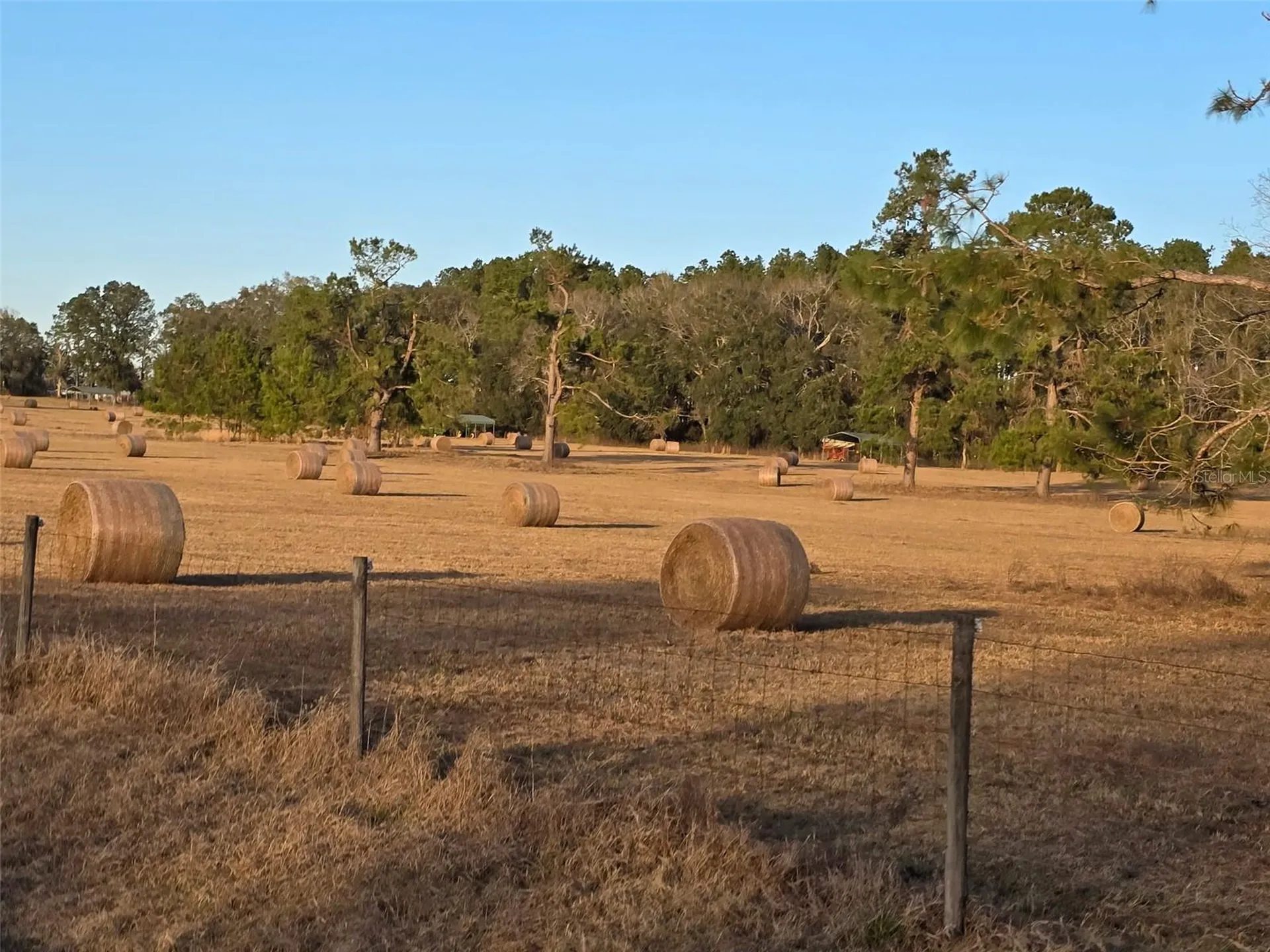 Tbd (LOT 2) 55th Place Mc Alpin FL 32062