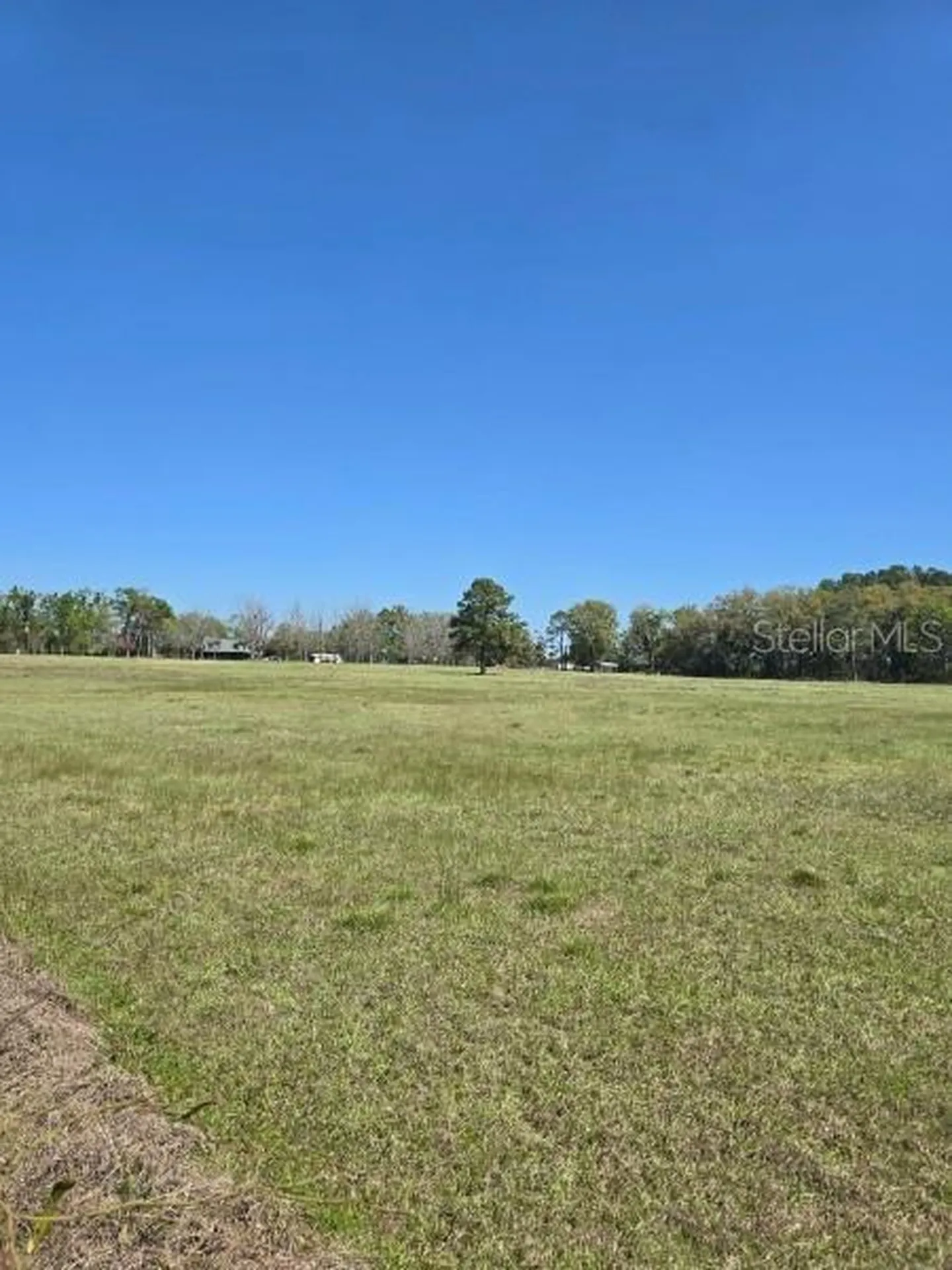 Tbd (LOT 2) 55th Place Mc Alpin FL 32062