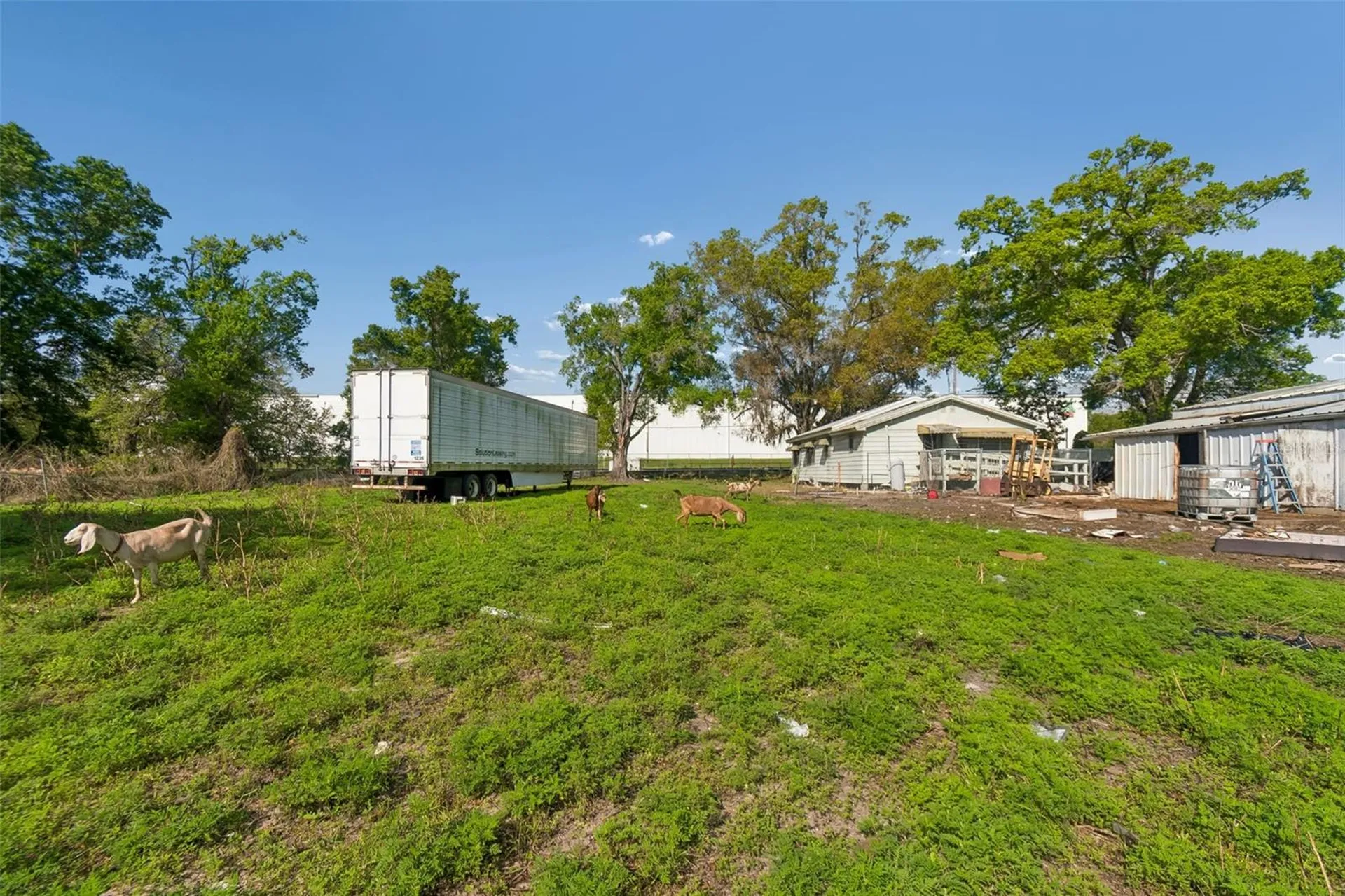 6213 Orient Road Tampa FL 33610