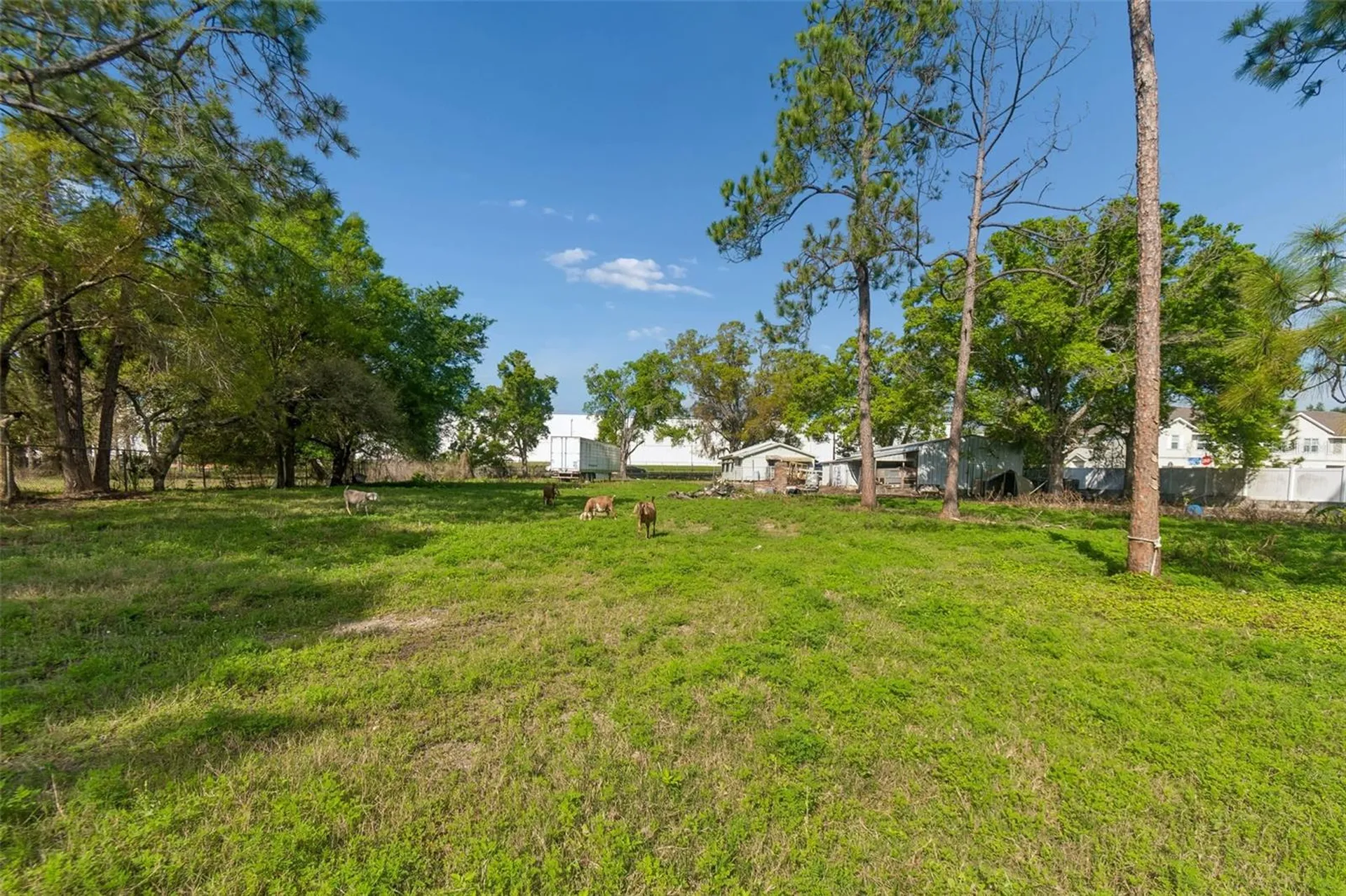 6213 Orient Road Tampa FL 33610