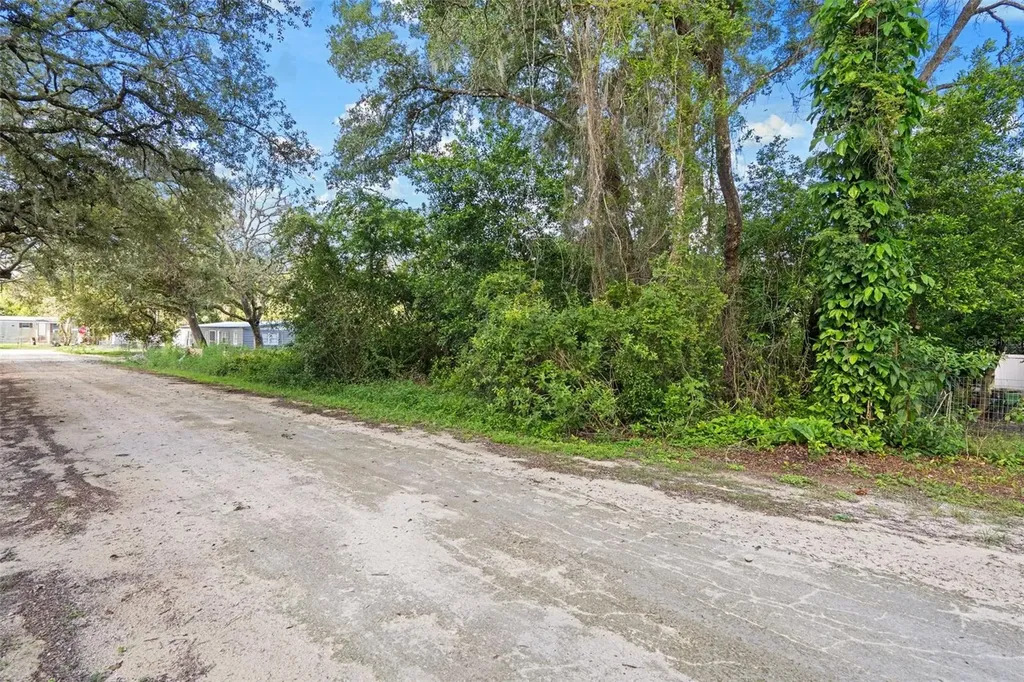 3241 Taffeta Street Dade City FL 33523