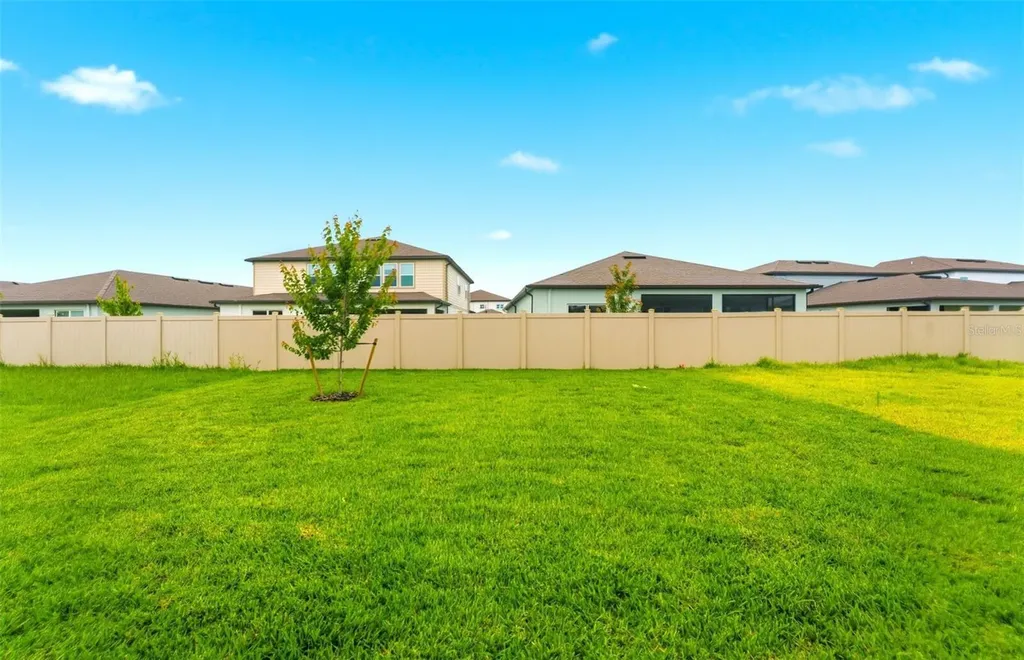 33452 Binding Ties Lane Wesley Chapel FL 33545