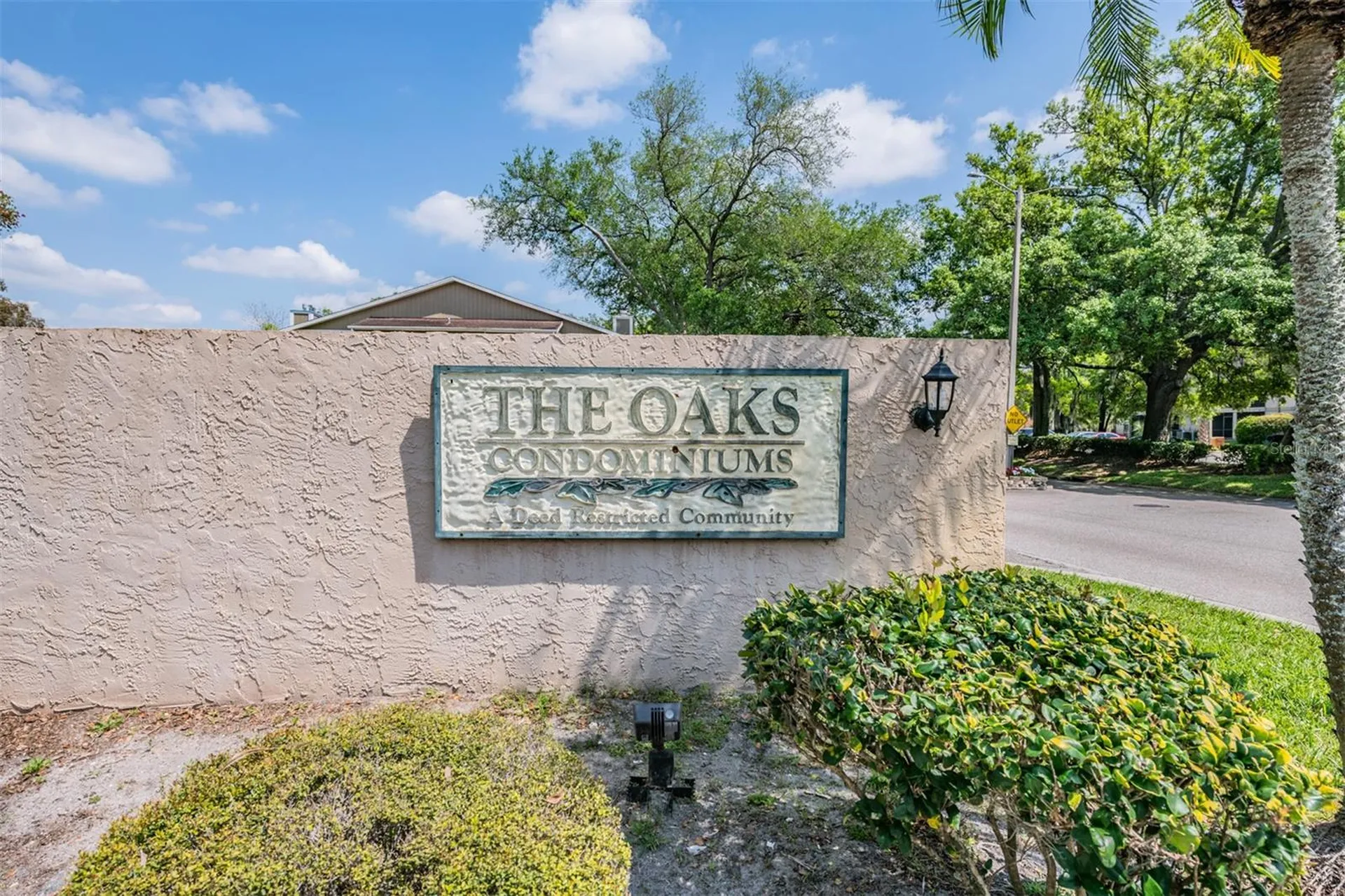 4208 Winding Moss Trail Tampa FL 33613