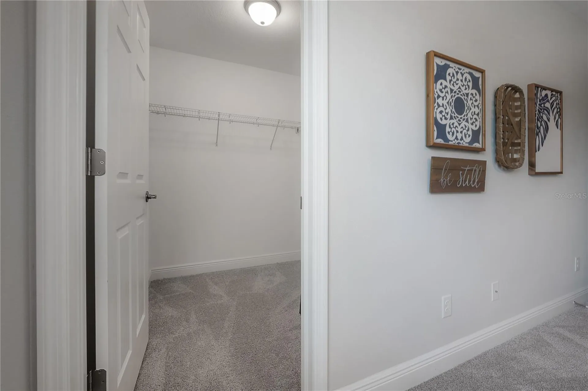 9102 Carolina Wren Drive Tampa FL 33626