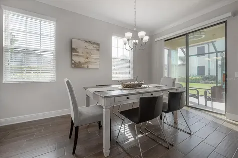 9102 Carolina Wren Drive Tampa FL 33626