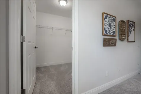 9102 Carolina Wren Drive Tampa FL 33626