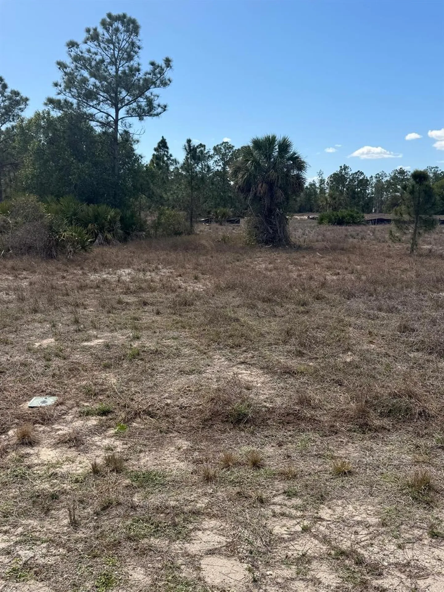 1511 Columbus Avenue Lehigh Acres FL 33972