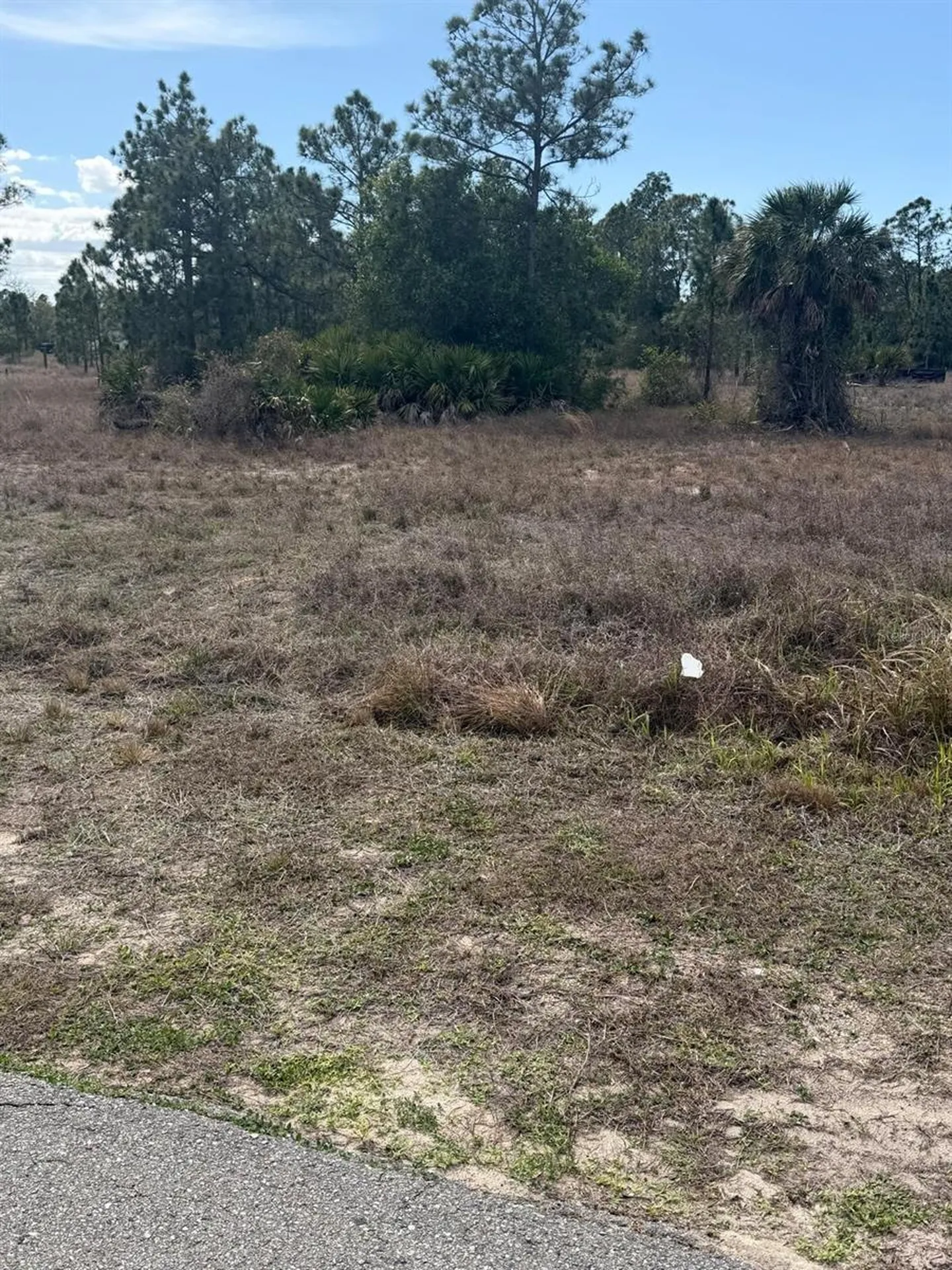 1511 Columbus Avenue Lehigh Acres FL 33972