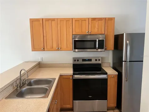 8701 Carroll Palm Place Tampa FL 33614