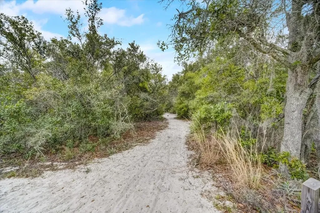 7233 Branchtree Drive Orlando FL 32835