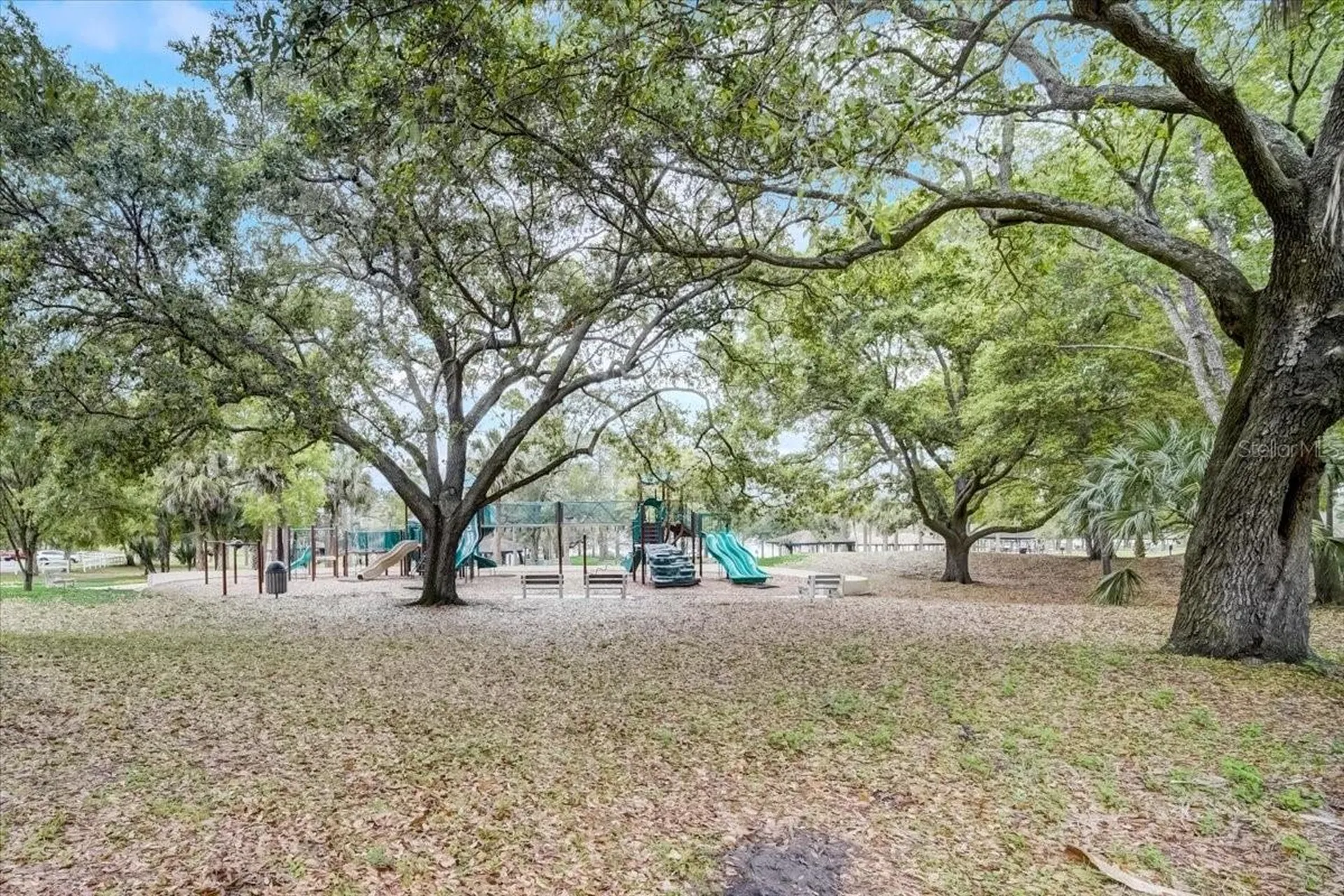 7233 Branchtree Drive Orlando FL 32835