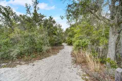 7233 Branchtree Drive Orlando FL 32835