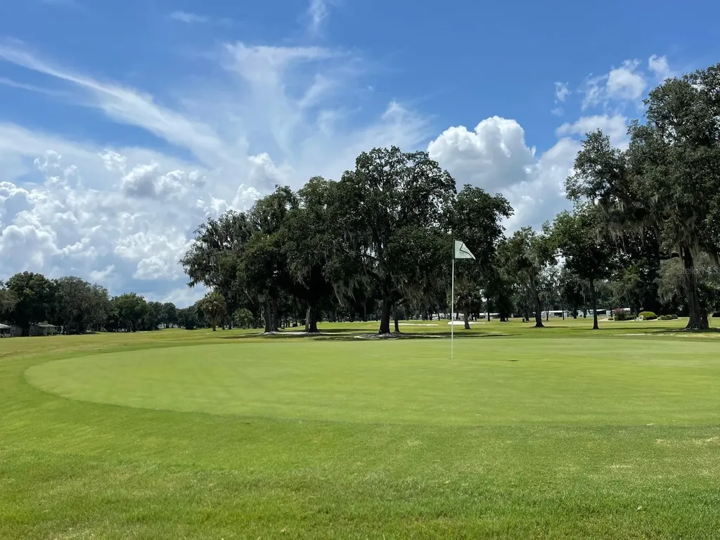 415 S Timber Trail Wildwood FL 34785