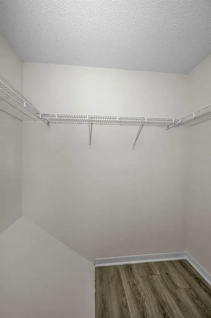 8015 Savannah Sunset Lane Tampa FL 33615