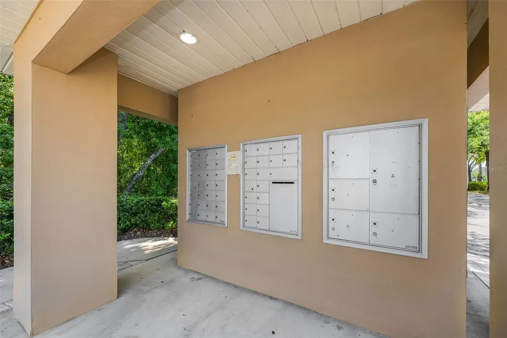 8015 Savannah Sunset Lane Tampa FL 33615