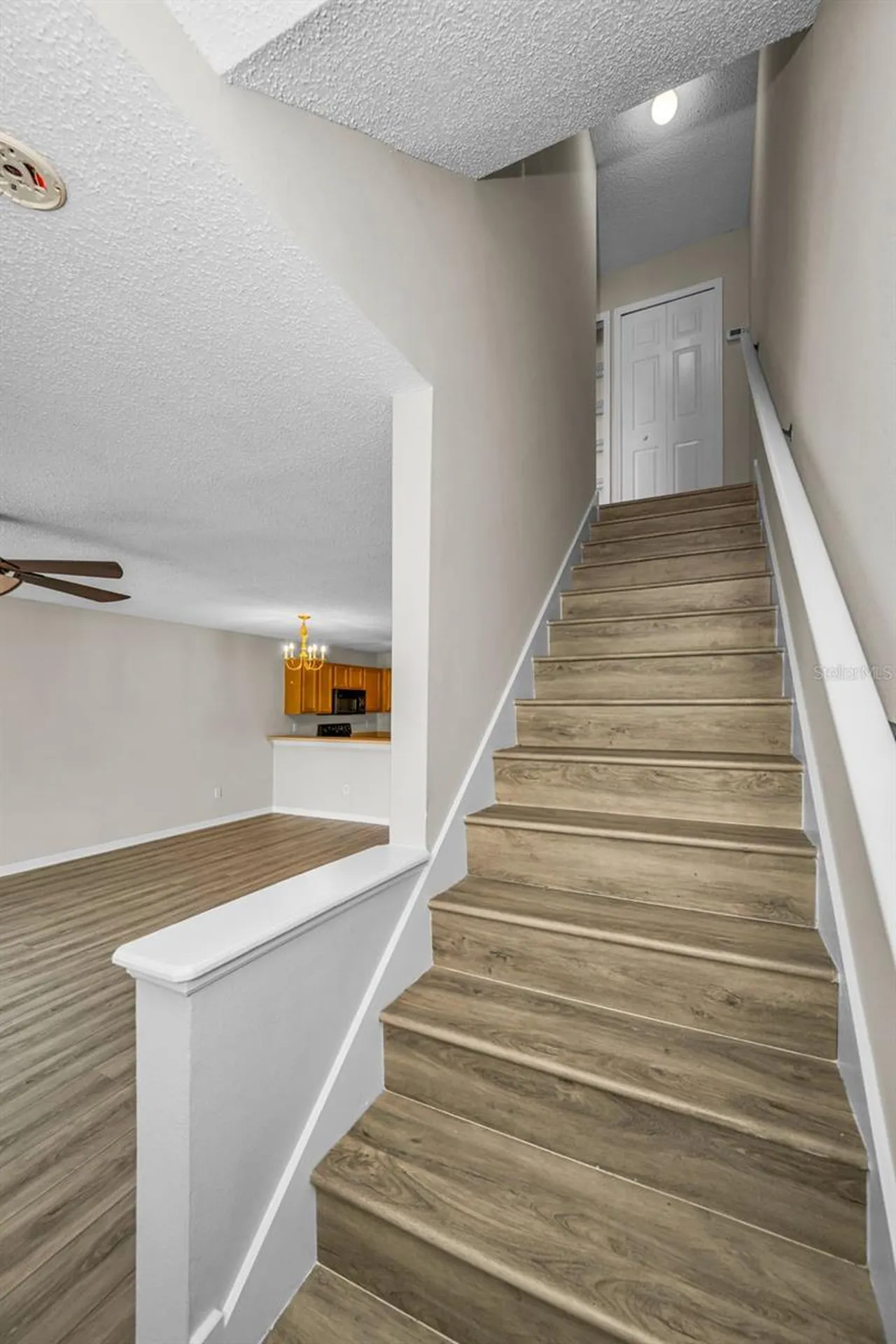8015 Savannah Sunset Lane Tampa FL 33615