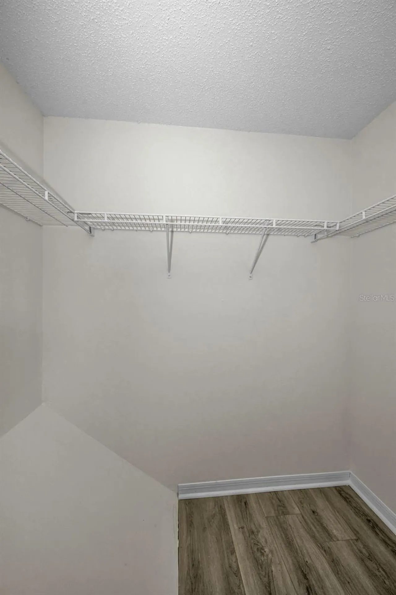8015 Savannah Sunset Lane Tampa FL 33615