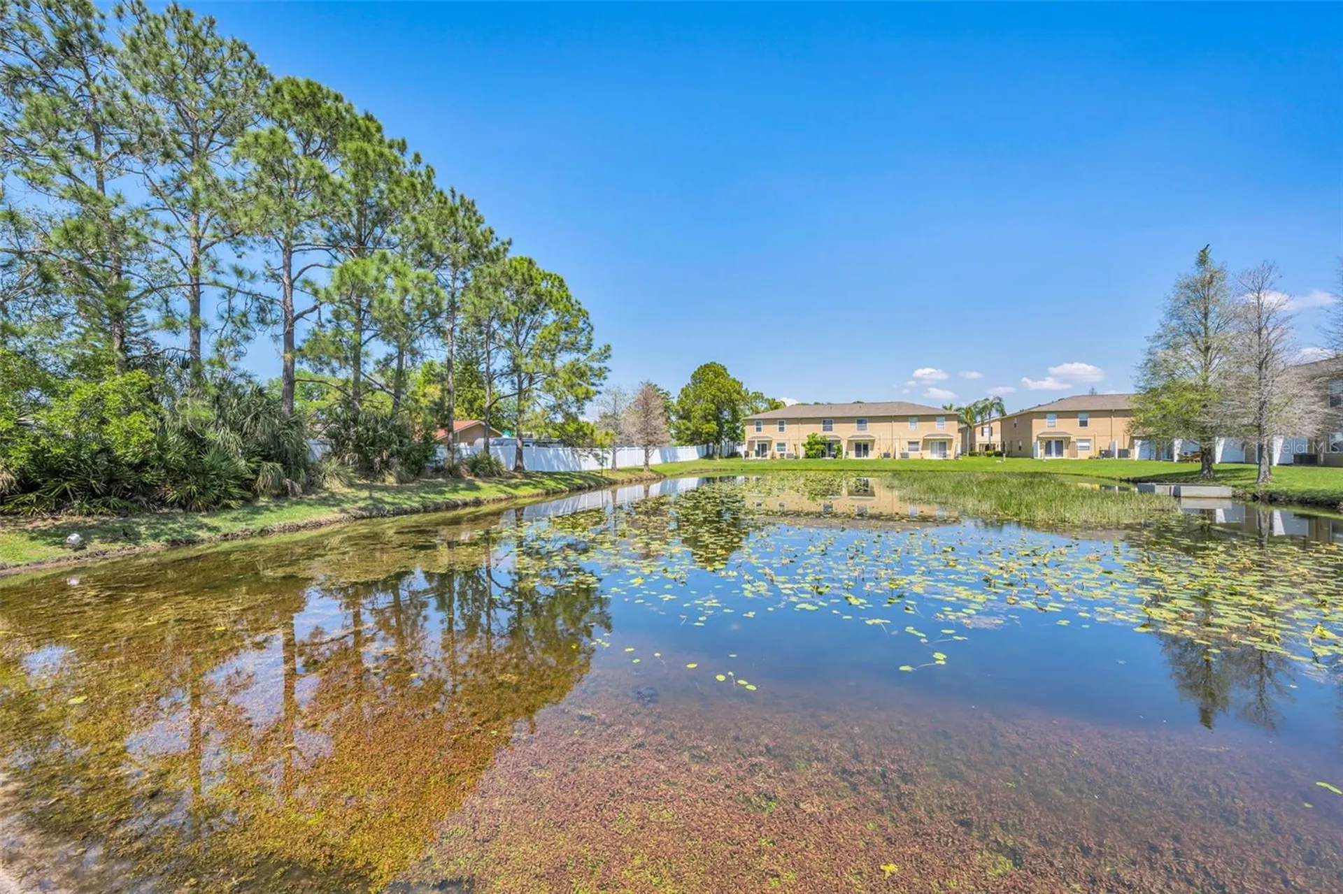 8015 Savannah Sunset Lane Tampa FL 33615
