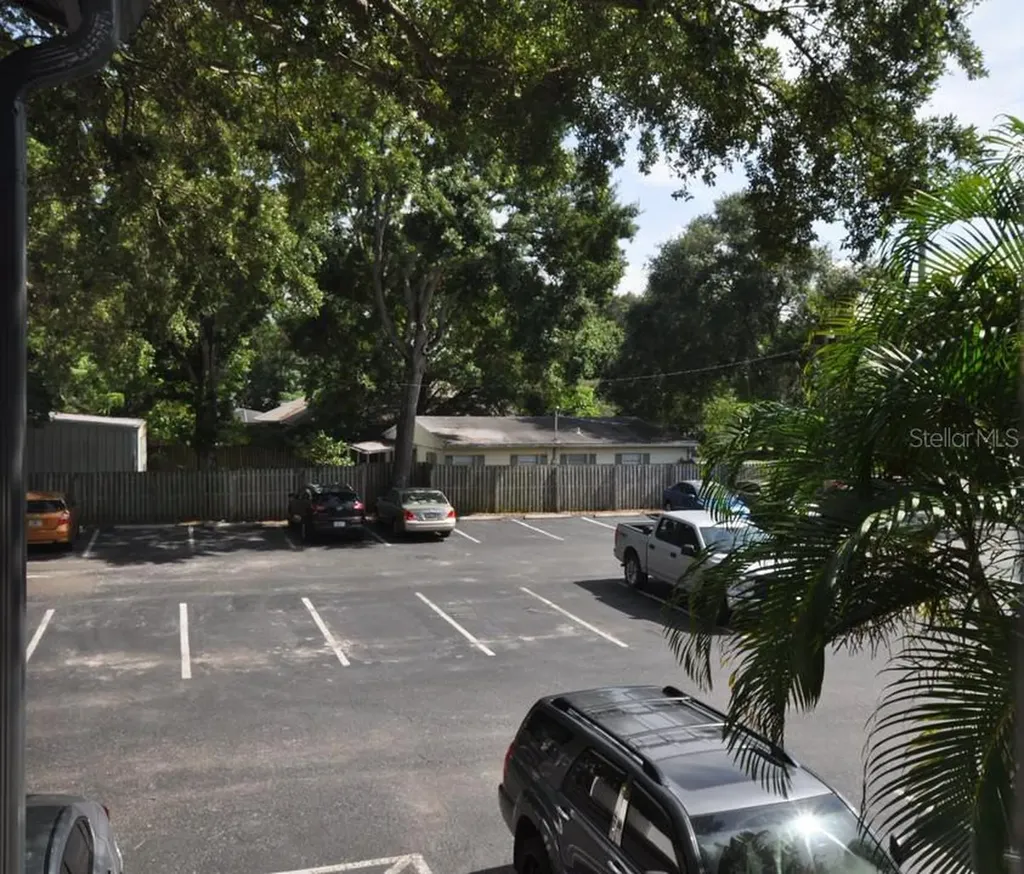 3914 Neptune Street Tampa FL 33629
