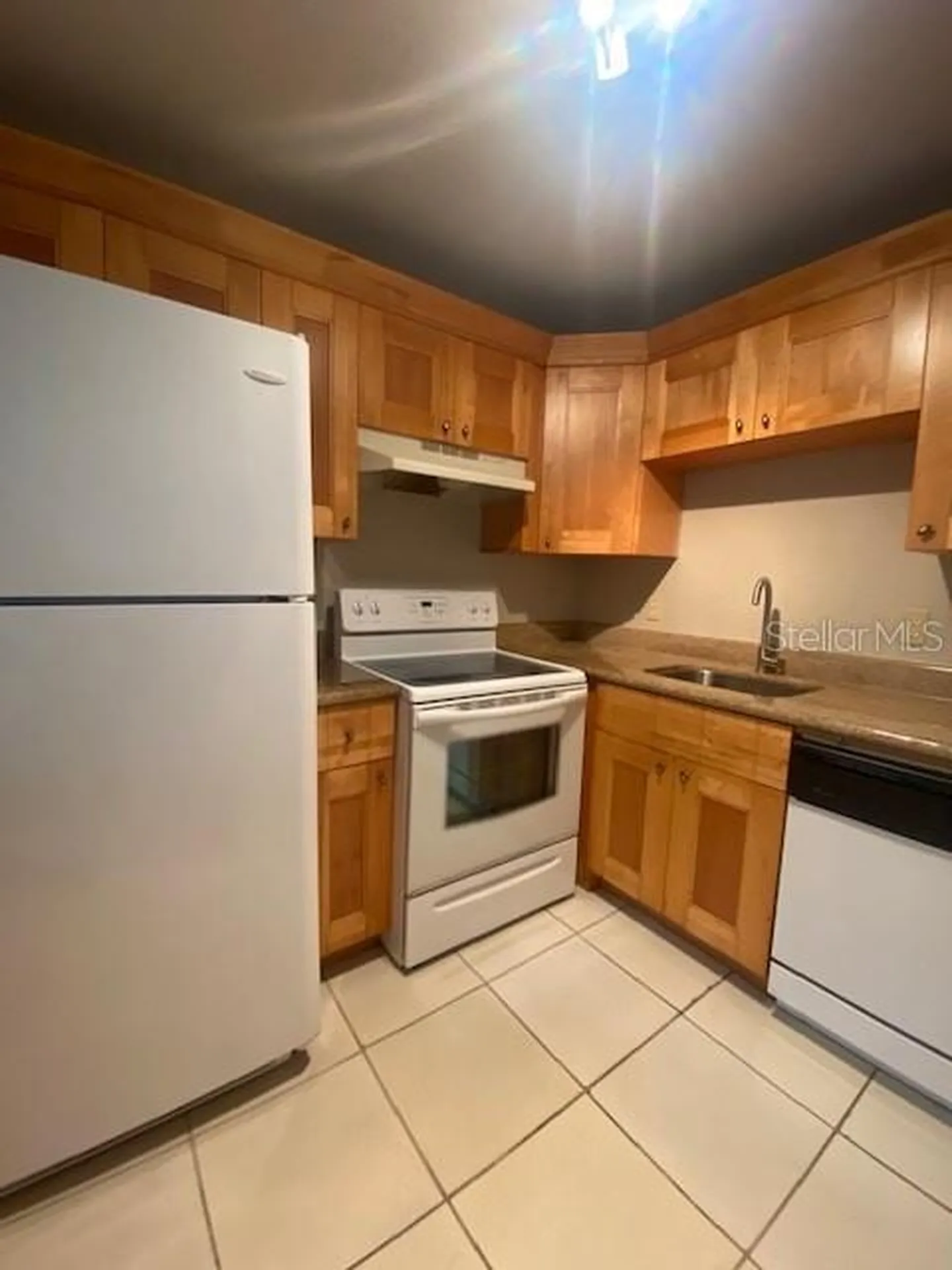 3914 Neptune Street Tampa FL 33629