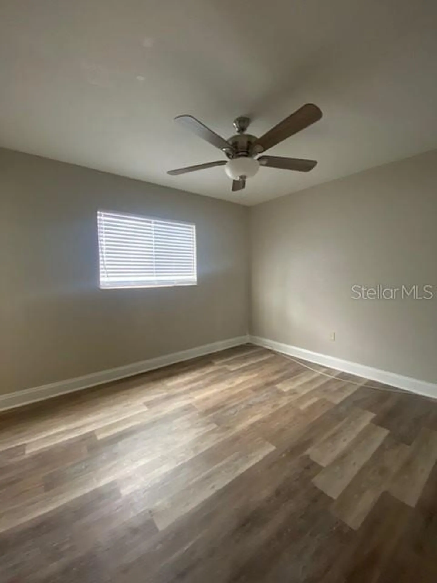 3914 Neptune Street Tampa FL 33629