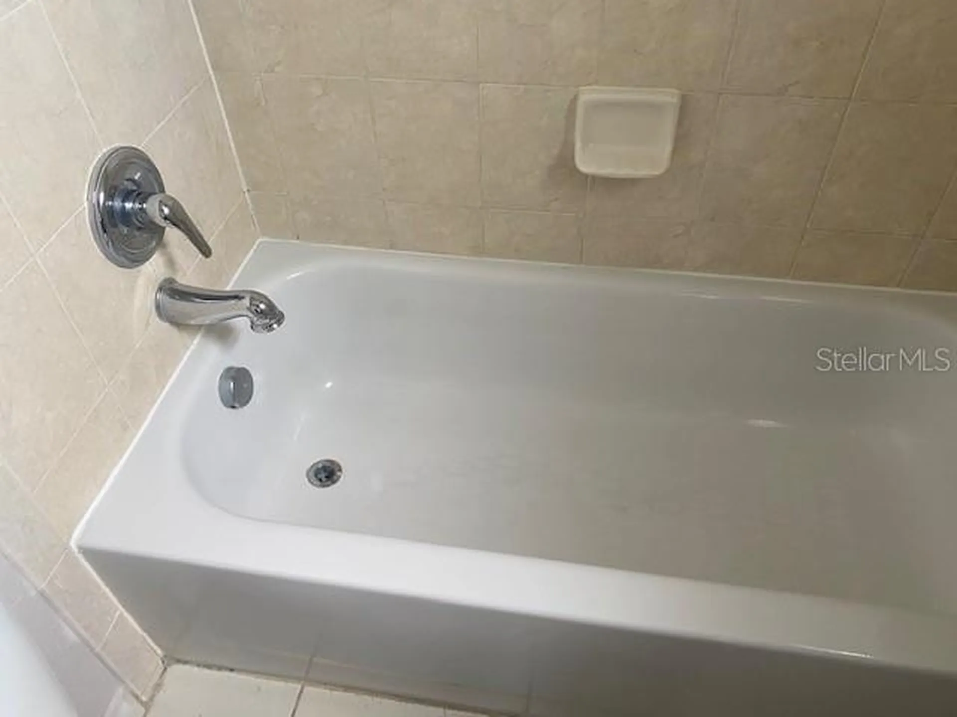 3914 Neptune Street Tampa FL 33629