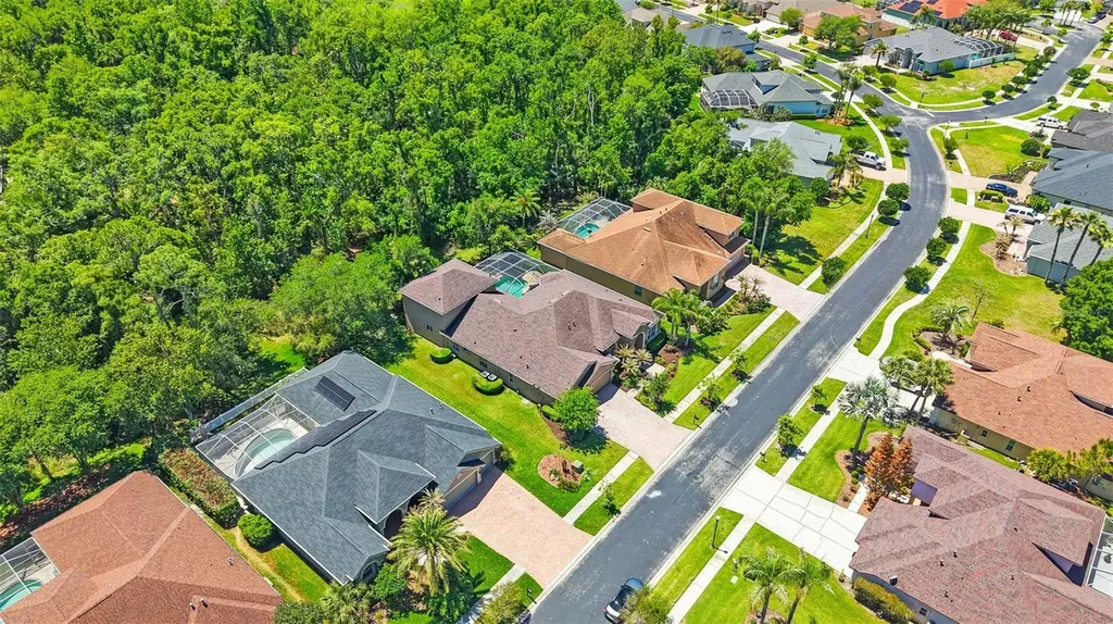 27608 Pine Point Drive Wesley Chapel FL 33544
