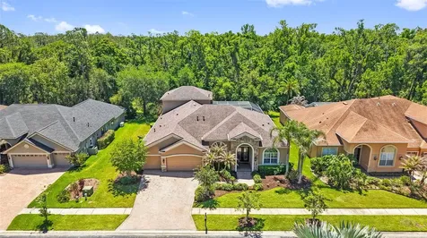 27608 Pine Point Drive Wesley Chapel FL 33544