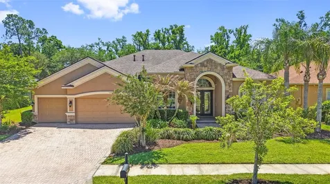 27608 Pine Point Drive Wesley Chapel FL 33544