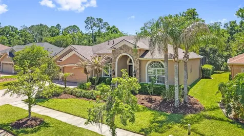 27608 Pine Point Drive Wesley Chapel FL 33544