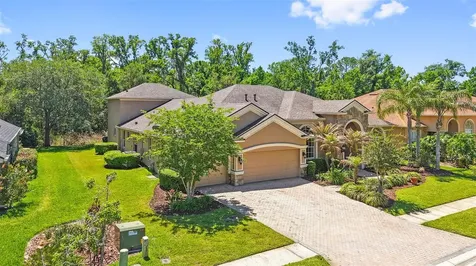 27608 Pine Point Drive Wesley Chapel FL 33544