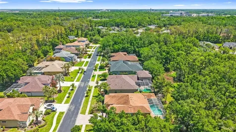 27608 Pine Point Drive Wesley Chapel FL 33544