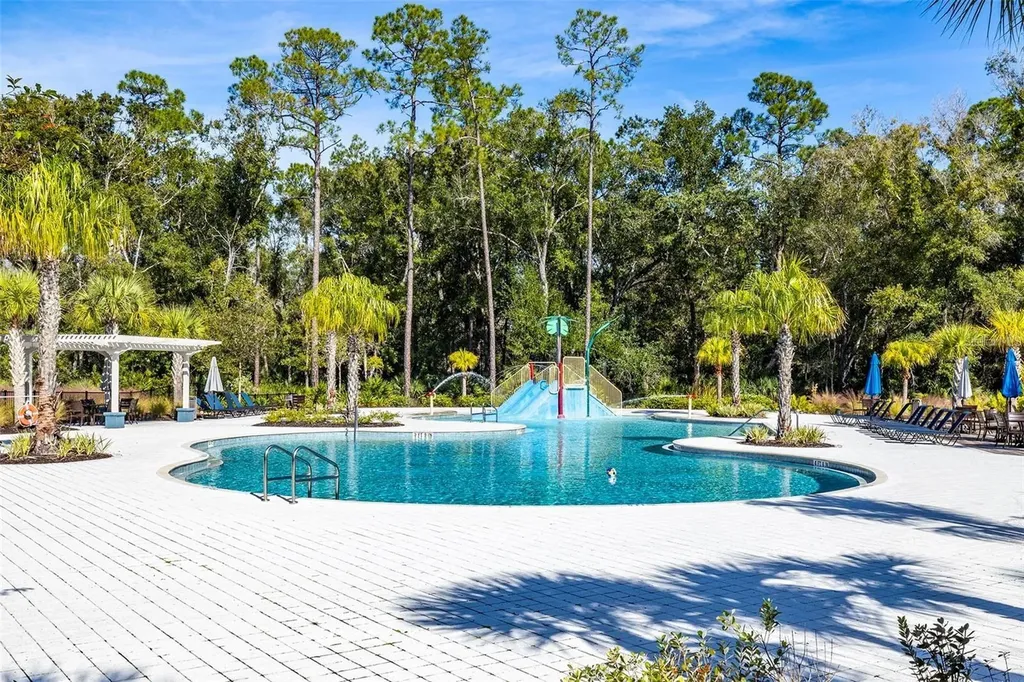 4124 Revival Lane Land O Lakes FL 34638