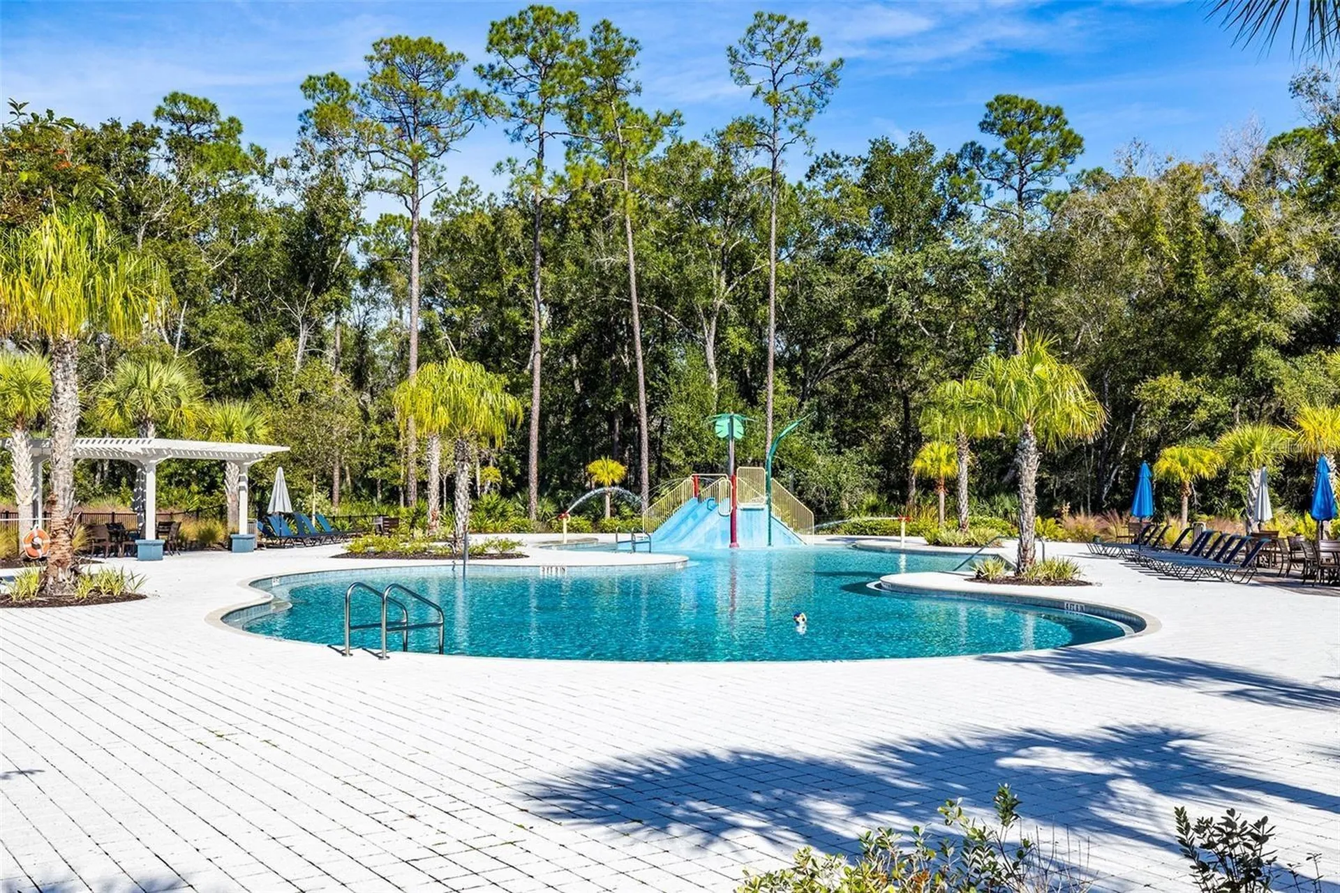 4124 Revival Lane Land O Lakes FL 34638