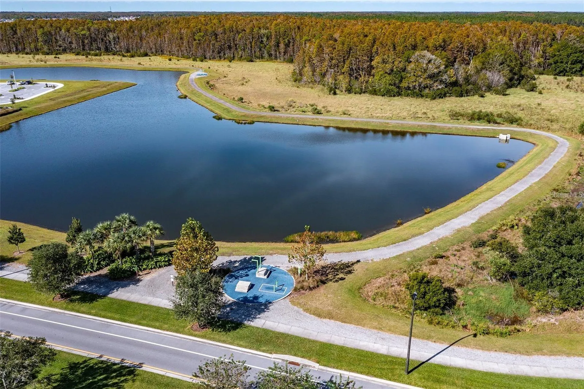 4124 Revival Lane Land O Lakes FL 34638