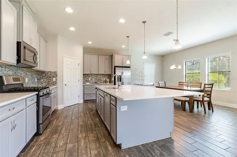 4124 Revival Lane Land O Lakes FL 34638