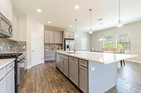 4124 Revival Lane Land O Lakes FL 34638