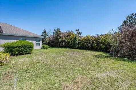 4124 Revival Lane Land O Lakes FL 34638