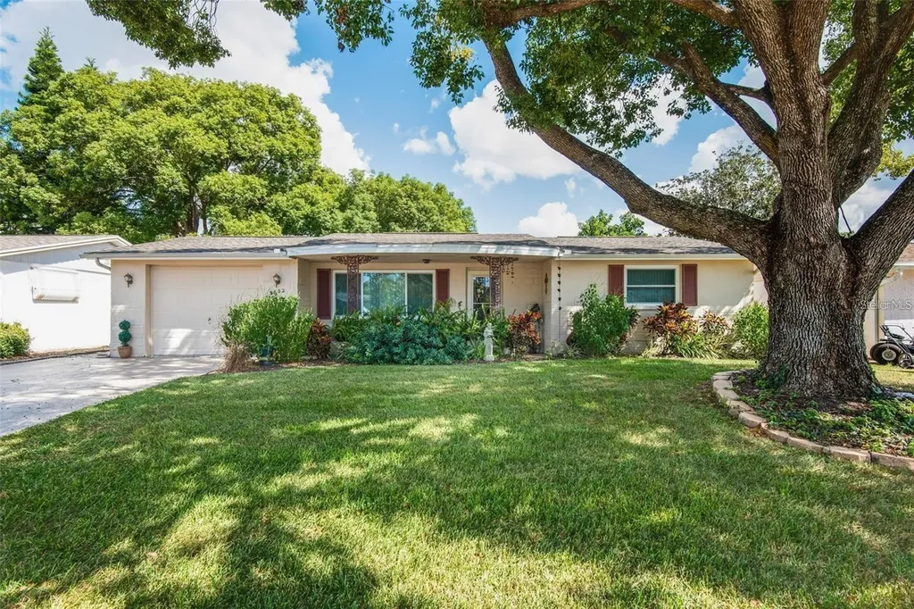 3802 Mynabird Drive New Port Richey FL 34652