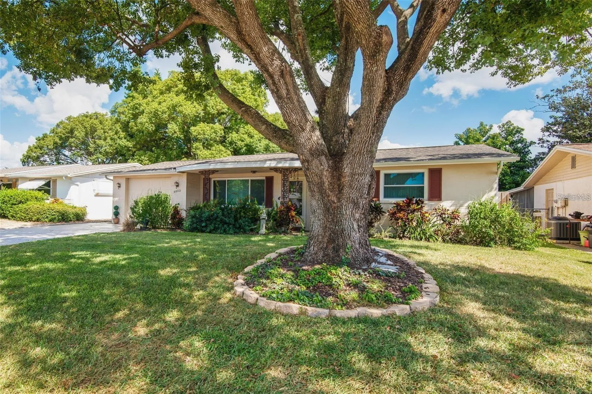 3802 Mynabird Drive New Port Richey FL 34652