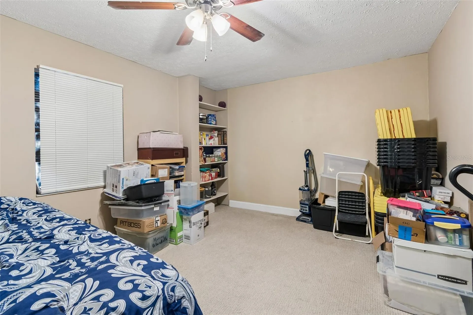 5059 Bernadette Drive Zephyrhills FL 33541